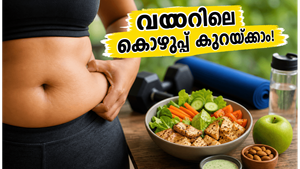 കടുത്ത ചൂടിലും മഴക്കാലത്തും വയറിലെ കൊഴുപ്പ് കുറയ്ക്കാം; ഫിറ്റ്നസ് നിലനിർത്താൻ ഈ മാറ്റങ്ങൾ വരുത്തൂ!