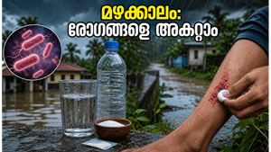 കേരളത്തിൽ കനത്ത മഴ: ഷിഗെല്ലയും എലിപ്പനിയും പടരുന്നു; ഈ മുൻകരുതലുകൾ എടുത്തില്ലെങ്കിൽ അപകടം ഉറപ്പ്!