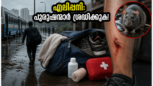 കൊച്ചിയിൽ എലിപ്പനി ജാഗ്രത: മഴക്കാലത്ത് പുരുഷന്മാർ അറിയേണ്ട അടിയന്തര സുരക്ഷാ മാർഗങ്ങൾ