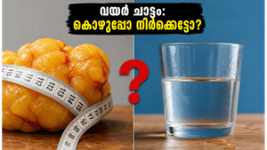 മഴക്കാലത്ത് വയർ ചാടുന്നത് കൊഴുപ്പാണോ? നീർക്കെട്ടാണോ എന്ന് തിരിച്ചറിയാൻ ഈ ലളിതവിദ്യ പരീക്ഷിക്കൂ!