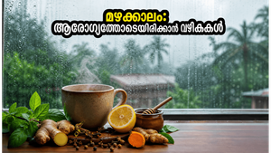 മഴക്കാലം വന്നെത്തി! രോഗങ്ങളെ അകറ്റി ആരോഗ്യം കാക്കാൻ അടുക്കളയിൽ പരീക്ഷിക്കാവുന്ന അത്ഭുത വഴികൾ
