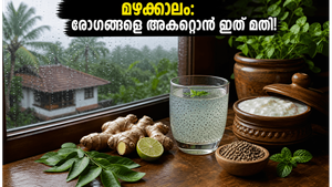 മഴക്കാലം തുടങ്ങി! രോഗങ്ങളെ പടിക്ക് പുറത്താക്കാൻ ഈ നാടൻ പാനീയങ്ങൾ പരീക്ഷിക്കൂ