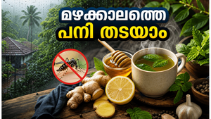 മഴക്കാലത്തെ പനിയും അസുഖങ്ങളും: വീട്ടിൽ തന്നെ പരീക്ഷിക്കാവുന്ന ലളിതമായ പ്രതിരോധ മാർഗ്ഗങ്ങൾ