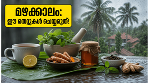 മഴക്കാലം എത്തി, പനിയും ജലദോഷവും കൂടെ വരുന്നുണ്ടോ? ഈ വീട്ടുവൈദ്യങ്ങൾ അറിഞ്ഞുവെക്കൂ!