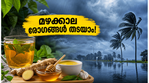 ഒഡീഷ, കർണാടക മഴ മുന്നറിയിപ്പ്: മഴക്കാല രോഗങ്ങളെ അകറ്റി നിർത്താൻ വീട്ടിലുണ്ട് ചില വഴികൾ!