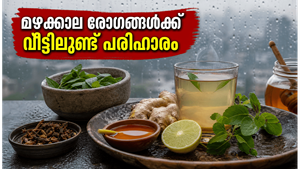മുംബൈയിൽ ഓറഞ്ച് അലർട്ട്: മഴക്കാലത്തെ ജലദോഷവും ചുമയും മാറ്റാൻ വീട്ടിലുണ്ട് അത്ഭുത പരിഹാരങ്ങൾ!