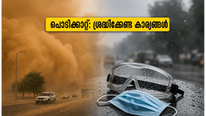 രാജസ്ഥാനിലെ പൊടിക്കാറ്റും മഴയും: ചർമ്മവും കണ്ണും സുരക്ഷിതമാക്കാൻ ഈ മുൻകരുതലുകൾ മറക്കരുത്!