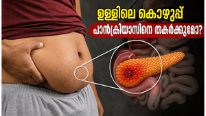 പുറമെ മെലിഞ്ഞാലും ഉള്ളിൽ കൊഴുപ്പ്; പാൻക്രിയാസിനെ തകർക്കുന്ന ആ 'സൈലന്റ്' വില്ലൻ ഇതാണ്!