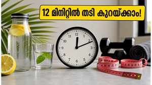 കടുത്ത ചൂടിലും വിയർക്കാതെ തടി കുറയ്ക്കാം; 12 മിനിറ്റ് കൊണ്ട് വയറിലെ കൊഴുപ്പ് കളയാൻ ഈ വഴികൾ!