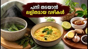 ബംഗളൂരുവിൽ പനി വ്യാപകം; വീട്ടിൽ തന്നെ പരീക്ഷിക്കാവുന്ന ഫലപ്രദമായ പ്രതിരോധ മാർഗ്ഗങ്ങൾ ഇതാ!