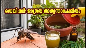ഹൈദരാബാദിൽ ഡെങ്കിപ്പനി ജാഗ്രത: കൊതുകുകളെ തുരത്താനും സുരക്ഷിതരാകാനും ഈ മുൻകരുതലുകൾ മതി