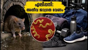 മുംബൈ റെഡ് അലർട്ട്: എലിപ്പനി തടയാൻ പുരുഷന്മാർ ഈ മുൻകരുതലുകൾ എടുക്കണം