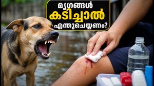മൃഗങ്ങൾ കടിച്ചാൽ മഞ്ഞൾപ്പൊടി പുരട്ടാറുണ്ടോ? ജീവൻ രക്ഷിക്കാൻ ഈ കാര്യങ്ങൾ അറിഞ്ഞിരിക്കൂ!