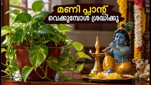 ജന്മാഷ്ടമിയിൽ വീട്ടിൽ മണി പ്ലാന്റ് വെക്കുമ്പോൾ ഈ തെറ്റുകൾ ഒഴിവാക്കൂ; ഐശ്വര്യം കൂടും