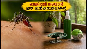 ഡെങ്കിപ്പനി ഭീതി വേണ്ട; കൊതുകുനിവാരിണികൾ ഉപയോഗിക്കുമ്പോൾ ഈ കാര്യങ്ങൾ ശ്രദ്ധിച്ചാൽ സുരക്ഷിതരാകാം