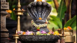 നാഗപഞ്ചമി 2026: ഇന്ന് നാഗദേവതകളെ ആരാധിച്ചാൽ ലഭിക്കും ഐശ്വര്യം; പൂജാ മുഹൂർത്തവും പ്രത്യേകതകളും അറിയാം