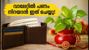രക്ഷാബന്ധൻ അവധി വരുന്നു; വാലറ്റും മണി പ്ലാന്റും വാസ്തു പ്രകാരം ക്രമീകരിച്ചാൽ പണം വന്ന് നിറയും!