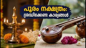 സൂര്യൻ പൂരം നക്ഷത്രത്തിലേക്ക്: പ്രണയവും കലയും പൂത്തുലയുന്ന കാലം; ശ്രദ്ധിക്കേണ്ട കാര്യങ്ങൾ ഇതാ!