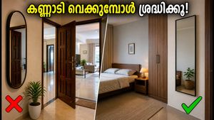 വാടകവീടുകളിൽ കണ്ണാടി വെക്കുമ്പോൾ ശ്രദ്ധിക്കണം; വാസ്തുദോഷം മാറ്റാൻ ഈ എളുപ്പവഴികൾ പരീക്ഷിക്കൂ