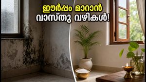 മഴക്കാലത്ത് വീട്ടിൽ ഈർപ്പവും പൂപ്പലും? പണം നഷ്ടപ്പെടാതിരിക്കാൻ ഈ വാസ്തു വഴികൾ പരീക്ഷിക്കൂ!