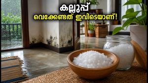 മഴക്കാലത്തെ ദുർഗന്ധവും ഈർപ്പവും മാറ്റണോ? വാസ്തു പ്രകാരം കല്ലുപ്പ് വെക്കേണ്ടത് ഇവിടെയാണ്