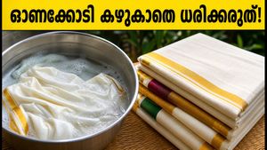 ഓണക്കോടി വാങ്ങിയോ? കഴുകാതെ ധരിച്ചാൽ പണി കിട്ടും, ചർമ്മത്തെ കാക്കാൻ ഈ മുൻകരുതലുകൾ