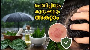 മഴയും ഈർപ്പവും ചർമ്മത്തെ തകർക്കുന്നുണ്ടോ? ചൊറിച്ചിലും കുരുക്കളും അകറ്റാൻ ഈ വഴികൾ പരീക്ഷിക്കൂ
