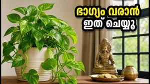 വീട്ടിൽ മണി പ്ലാന്റ് വെക്കുമ്പോൾ ഈ 6 തെറ്റുകൾ വരുത്തരുത്; വാസ്തു പറയുന്നത് ഇതാണ്