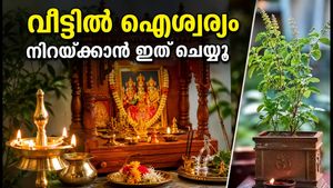 പരിവർത്തിനി ഏകാദശി: പൂജാമുറിയിലും അടുക്കളയിലും ഈ മാറ്റങ്ങൾ വരുത്തിയാൽ ഐശ്വര്യം കൂടും!