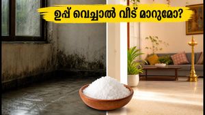 വീട്ടിലെ ദുർഗന്ധം മാറ്റാൻ 'സാൾട്ട് വാസ്തു' പരീക്ഷിക്കൂ; ഈ ചെറിയ മാറ്റം വീടിന് നൽകും വലിയ ഉന്മേഷം