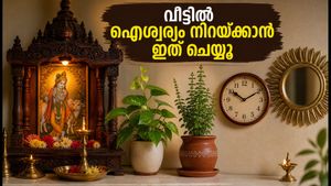 വീട്ടിൽ ഐശ്വര്യം നിറയാൻ വാസ്തു ടിപ്സ്; പൂജാമുറിയും തുളസിയും വയ്ക്കുമ്പോൾ ഈ തെറ്റുകൾ വരുത്തരുത്!