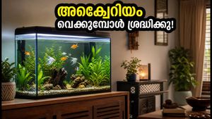 വീട്ടിൽ അക്വേറിയം വെക്കുമ്പോൾ ഈ തെറ്റുകൾ വരുത്തരുത്; വാസ്തുവും ശാസ്ത്രീയമായ പരിചരണവും അറിയാം