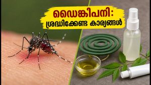 ഡൽഹിയിൽ ഡെങ്കിപ്പനി ഭീഷണി; കൊതുക് നിവാരിണികൾ ഉപയോഗിക്കുമ്പോൾ അറിയേണ്ട സുരക്ഷാ മുൻകരുതലുകൾ