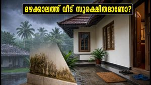 കനത്ത മഴയിൽ വീട് സുരക്ഷിതമാണോ? ഈ വാസ്തു ടിപ്‌സുകൾ അറിഞ്ഞിരിക്കണം, അപകടങ്ങൾ ഒഴിവാക്കാം