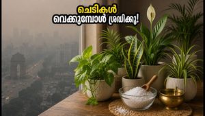 വീടിനുള്ളിൽ ചെടികൾ വെക്കുമ്പോൾ ഈ തെറ്റുകൾ വരുത്തരുത്; വാസ്തുവും വായു ശുദ്ധീകരണവും അറിയാം