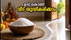 നവരാത്രിയിൽ വീട് വൃത്തിയാക്കുമ്പോൾ ഉപ്പ് ഉപയോഗിക്കണോ? നെഗറ്റീവ് ഊർജ്ജം അകറ്റാൻ വാസ്തു പറയുന്ന വഴികൾ
