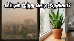 வீட்டில் இந்த செடிகள் இருந்தா போதும்… காற்று சுத்தமாகும், பணமும் அதிர்ஷ்டமும் தானாக வரும்!