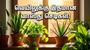 வாஸ்து செடிகள்: 42°C வெயிலிலும் வீட்டை ஜில்லுனு வச்சுக்கணுமா? இந்த செடிகள் இருந்தா போதும்!