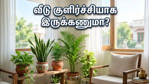 கோடை வெயிலில் வீடு சூடாக இருக்கா? இந்த செடிகளை வளர்த்தால் குளிர்ச்சியும் பணமும் தேடி வரும்!
