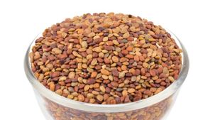 Kollu Benefits: அடிக்கடி கொள்ளு சாப்பிடுவதால் என்னென்ன நன்மைகள் கிடைக்கும் தெரியுமா? 