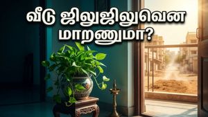 மணி பிளாண்ட் வளர்க்கும் ரகசியம் தெரியுமா? கோடையில் வீட்டை ஜிலுஜிலுவென மாற்றும் இந்த வாஸ்து டிப்ஸ்!