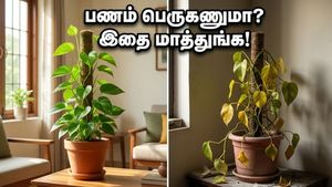சம்பளம் வந்ததும் மணி பிளாண்ட் வாங்குறீங்களா? பணத்தை அள்ளிக் கொடுக்கும் அந்த ரகசிய திசை இதுதான்!