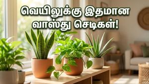 வாஸ்து செடிகள்: கோடை வெயிலில் வீட்டை குளிர்ச்சியாக வைத்து அதிர்ஷ்டத்தை அள்ளுவது எப்படி?