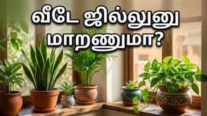 வெயில் கொடுமையா? இந்த 4 செடிகள் இருந்தா போதும்… வீடே ஏசி போல ஜில்லுனு இருக்கும்!