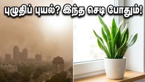 டெல்லி-என்சிஆர் புழுதிப் புயல்: வீட்டைப் பாதுகாக்க இந்த 5 வாஸ்து செடிகள் இருந்தா போதும்!