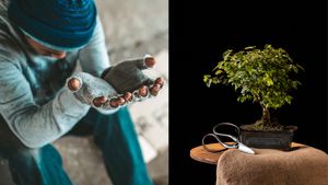 வாஸ்து படி இந்த 5 செடிகள் உங்கள் வீட்டில் இருந்தால் துரதிர்ஷ்டம் உங்கள் வீட்டை விட்டு எப்பவும் போகாதாம் 