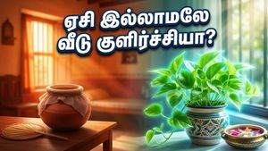 கோடை வெயிலில் வீட்டை குளிர்ச்சியாக வைக்கணுமா? இந்த வாஸ்து செடிகள் இருந்தா போதும், ஏசி தேவையில்லை!