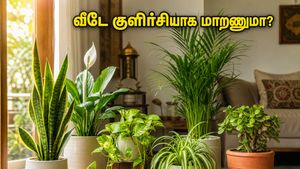 கோடை வெயிலை சமாளிக்க இந்த 5 செடிகள் போதும்… வீடே குளிர்ச்சியாகவும் செல்வமும் தானாக பெருகும்!