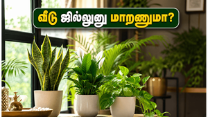 சுட்டெரிக்கும் வெயிலில் வீடு சூடாக இருக்கிறதா? இந்த வாஸ்து செடிகள் இருந்தா போதும், வீடு ஜில்லுனு மாறும்!