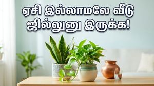 வெயிலுக்கு ஏசி தேவையில்லை! இந்த 5 வாஸ்து செடிகள் இருந்தா வீடு ஜில்லுனு இருக்கும்!